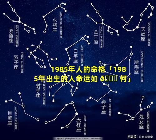 1985年人的命格「1985年出生的人命运如 🐅 何」